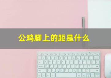 公鸡脚上的距是什么