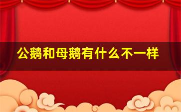 公鹅和母鹅有什么不一样