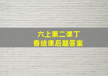 六上第二课丁香结课后题答案