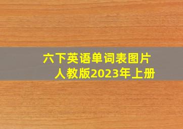 六下英语单词表图片人教版2023年上册