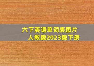 六下英语单词表图片人教版2023版下册