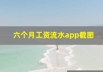 六个月工资流水app截图