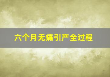 六个月无痛引产全过程