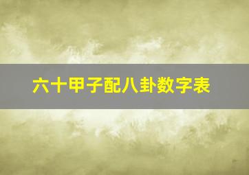 六十甲子配八卦数字表