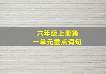 六年级上册第一单元重点词句