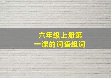 六年级上册第一课的词语组词