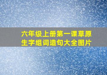 六年级上册第一课草原生字组词造句大全图片