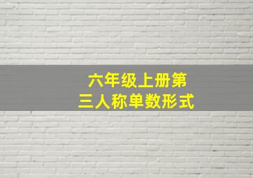 六年级上册第三人称单数形式