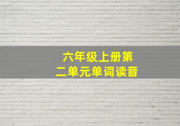 六年级上册第二单元单词读音