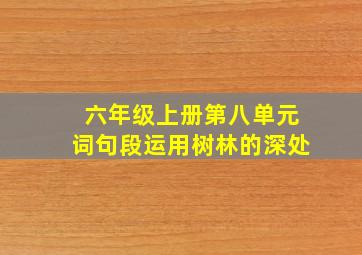 六年级上册第八单元词句段运用树林的深处