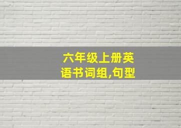 六年级上册英语书词组,句型