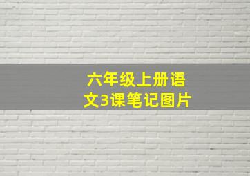 六年级上册语文3课笔记图片