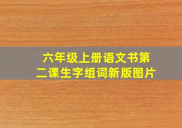 六年级上册语文书第二课生字组词新版图片