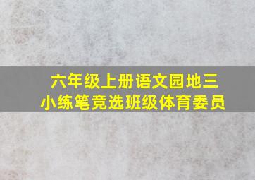 六年级上册语文园地三小练笔竞选班级体育委员