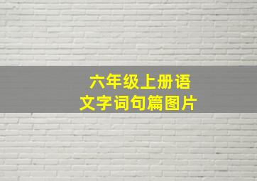 六年级上册语文字词句篇图片