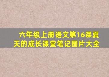 六年级上册语文第16课夏天的成长课堂笔记图片大全