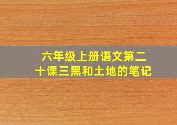 六年级上册语文第二十课三黑和土地的笔记