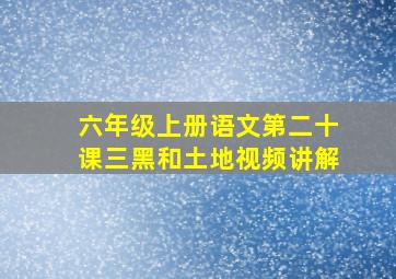 六年级上册语文第二十课三黑和土地视频讲解