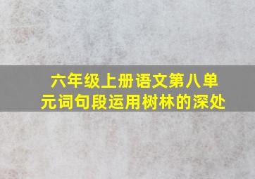 六年级上册语文第八单元词句段运用树林的深处