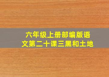 六年级上册部编版语文第二十课三黑和土地