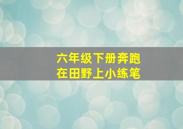 六年级下册奔跑在田野上小练笔