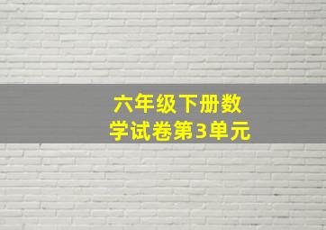 六年级下册数学试卷第3单元