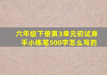 六年级下册第3单元初试身手小练笔500字怎么写的