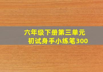 六年级下册第三单元初试身手小练笔300