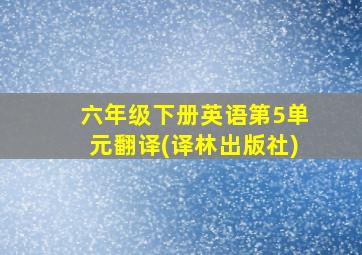 六年级下册英语第5单元翻译(译林出版社)