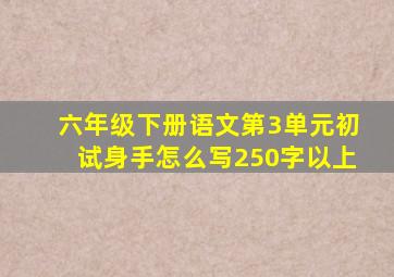 六年级下册语文第3单元初试身手怎么写250字以上