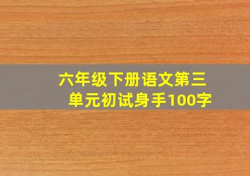 六年级下册语文第三单元初试身手100字