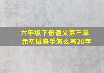 六年级下册语文第三单元初试身手怎么写20字