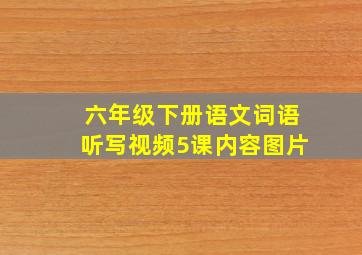 六年级下册语文词语听写视频5课内容图片