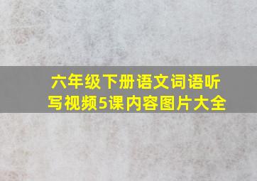 六年级下册语文词语听写视频5课内容图片大全