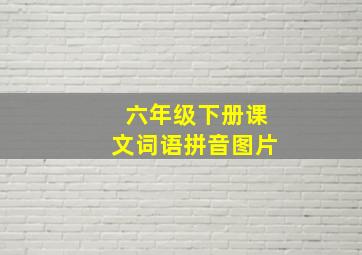 六年级下册课文词语拼音图片