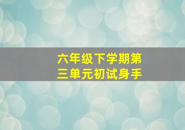 六年级下学期第三单元初试身手