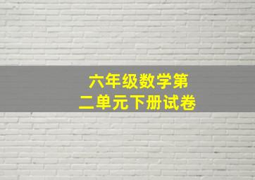 六年级数学第二单元下册试卷