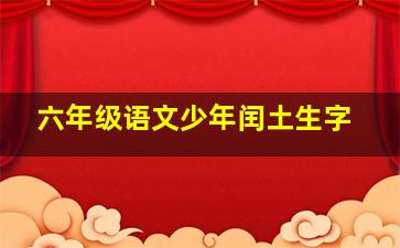 六年级语文少年闰土生字