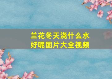 兰花冬天浇什么水好呢图片大全视频