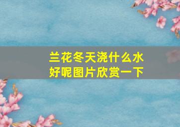 兰花冬天浇什么水好呢图片欣赏一下