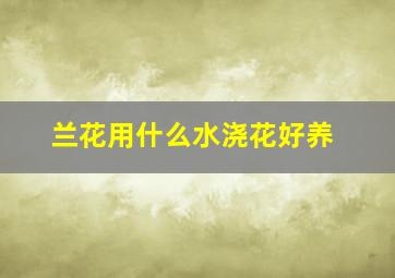 兰花用什么水浇花好养