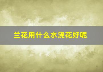 兰花用什么水浇花好呢