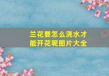 兰花要怎么浇水才能开花呢图片大全