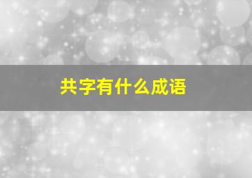 共字有什么成语