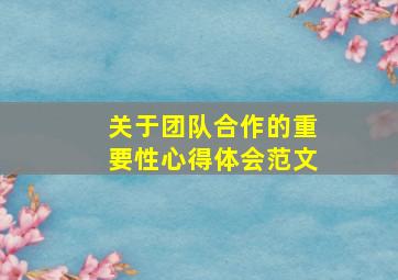 关于团队合作的重要性心得体会范文