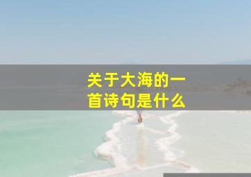 关于大海的一首诗句是什么