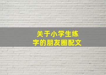 关于小学生练字的朋友圈配文