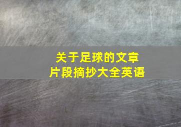 关于足球的文章片段摘抄大全英语