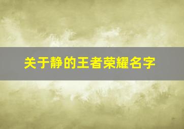 关于静的王者荣耀名字