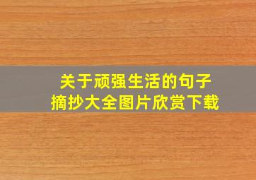 关于顽强生活的句子摘抄大全图片欣赏下载